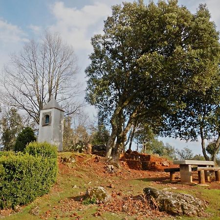 Apartamentos Fonda Finet Sant Felíu de Pallarols Kültér fotó