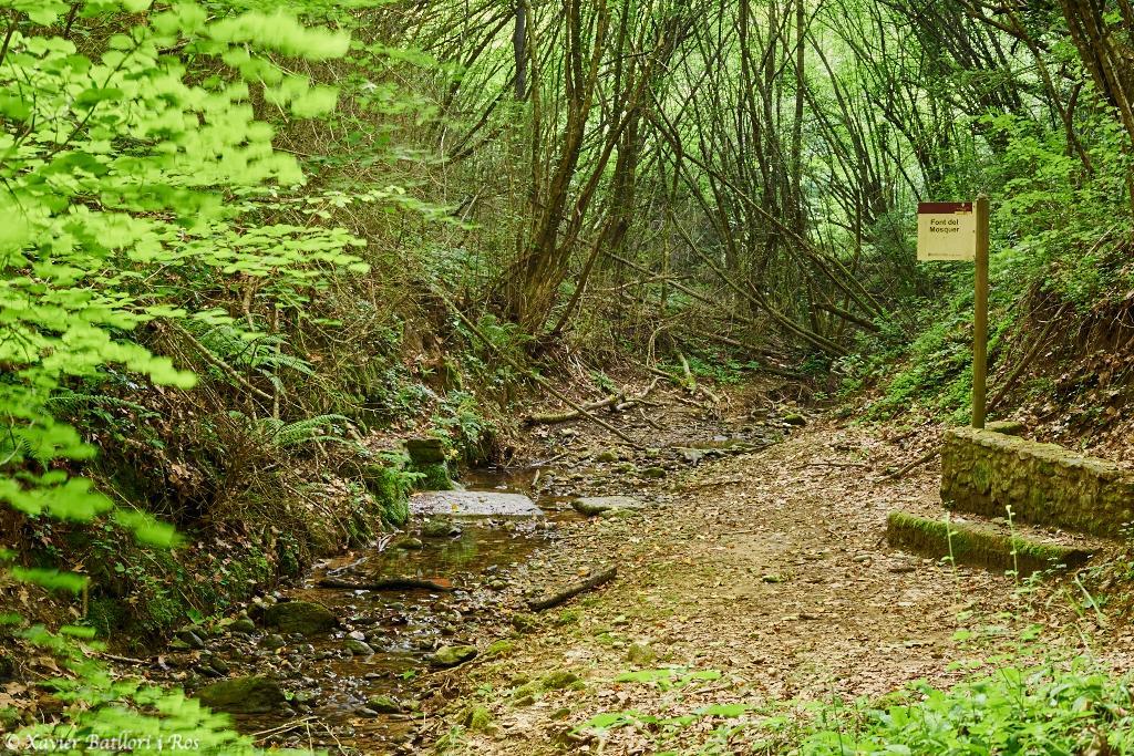 Apartamentos Fonda Finet Sant Felíu de Pallarols Kültér fotó